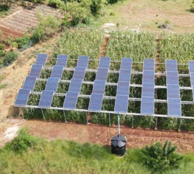 Agricultural photovoltaic systems help Africa save water