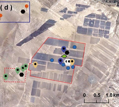 Photovoltaic power generation has positive environmental effects